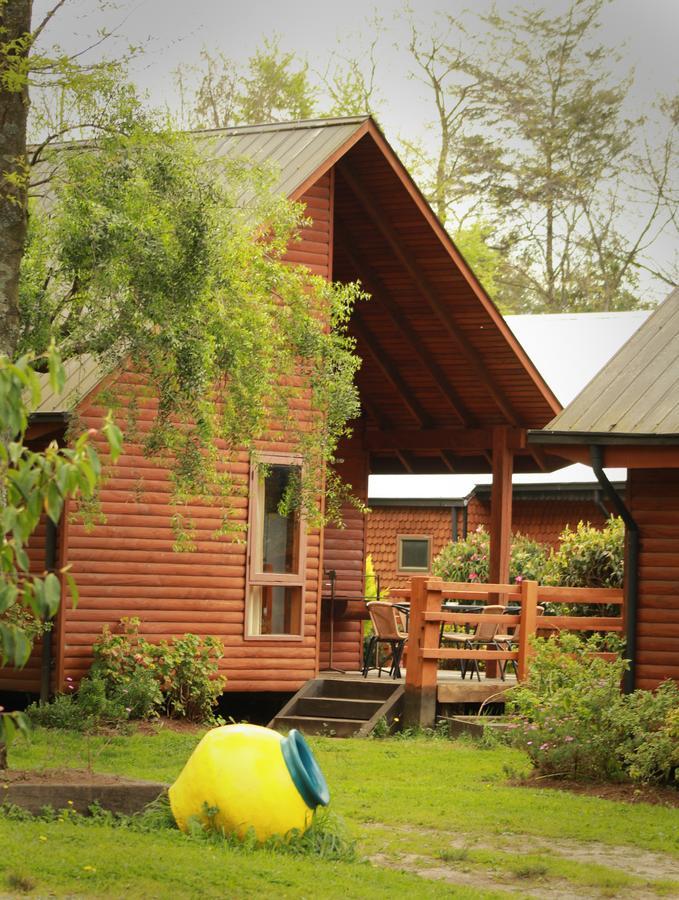 Cabanas Risso Villa Villarrica Buitenkant foto