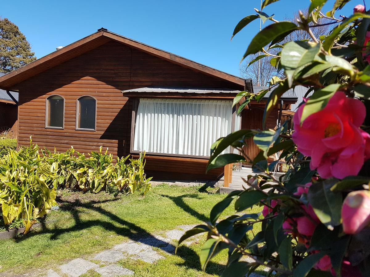 Cabanas Risso Villa Villarrica Buitenkant foto