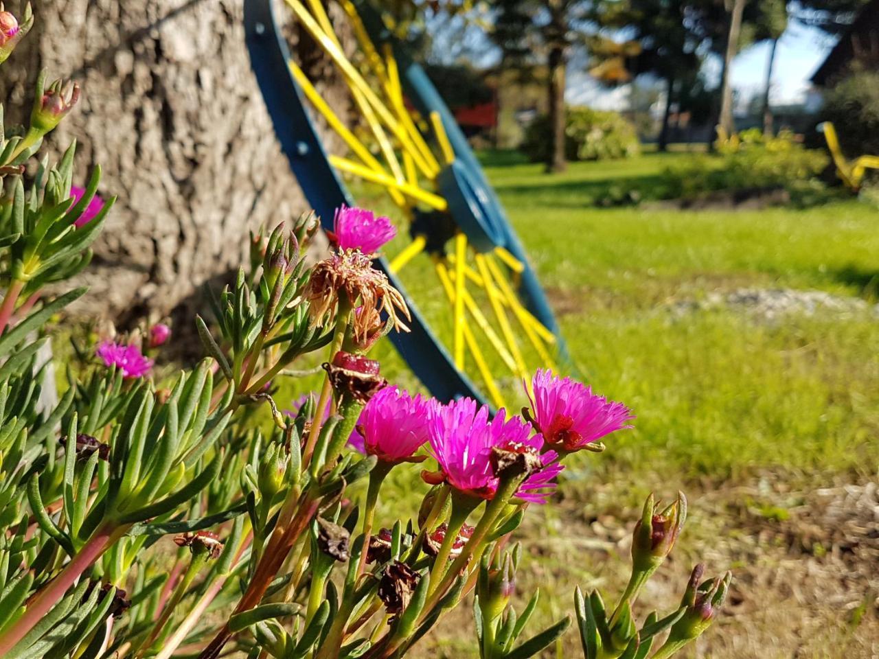 Cabanas Risso Villa Villarrica Buitenkant foto