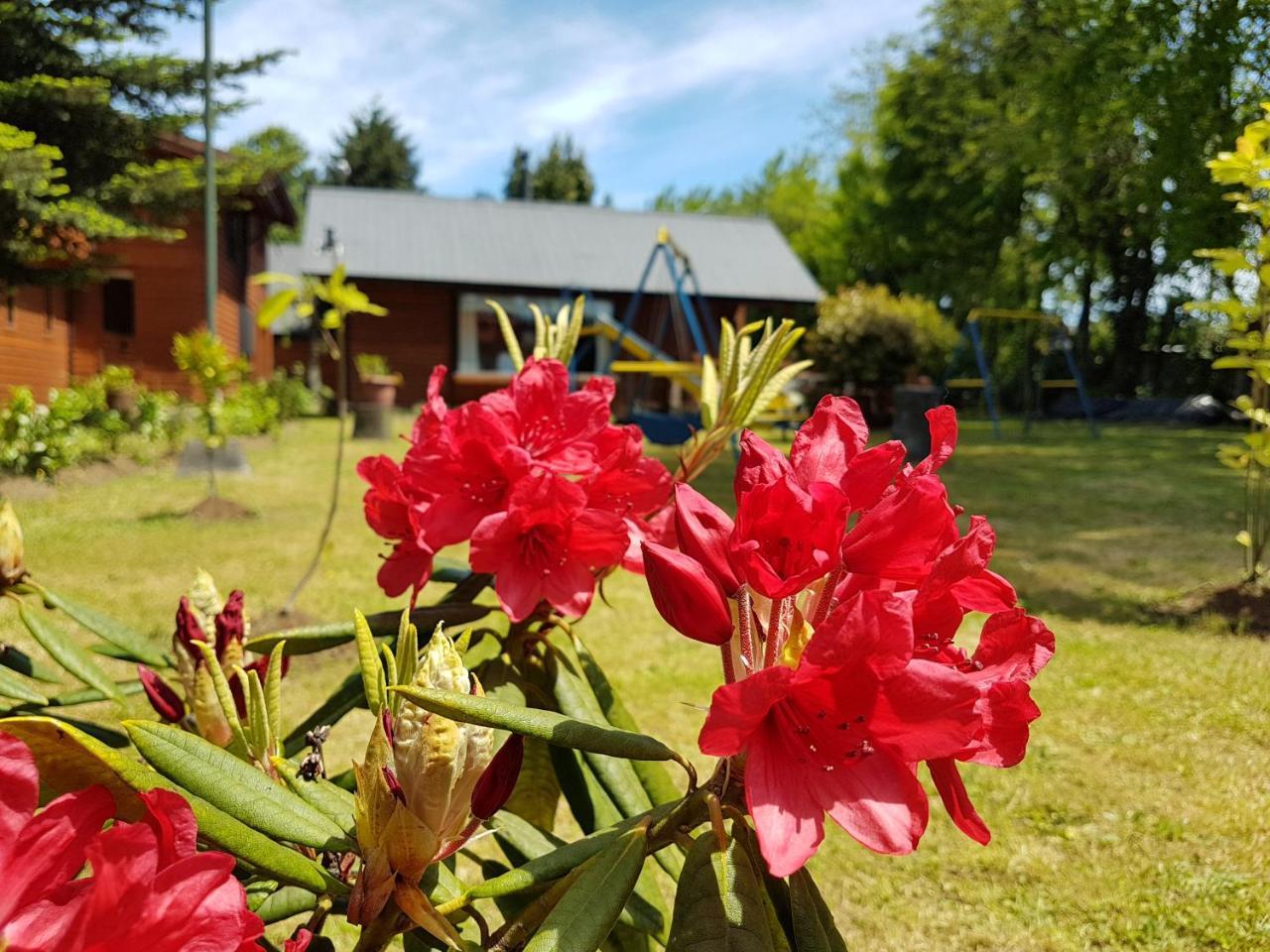 Cabanas Risso Villa Villarrica Buitenkant foto